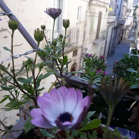 Chicchinella 3* Altamura